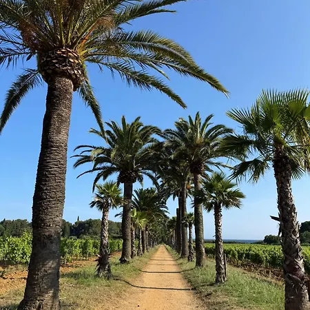 Ferienhaus Mas De Gigaro Eden View St Tropez La Croix-Valmer